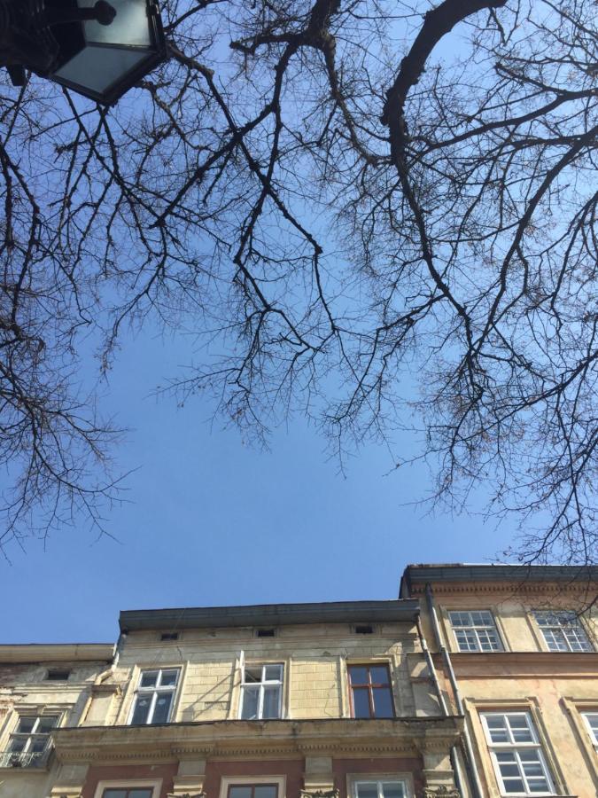 Vysoka Khata Lviv Eksteriør bilde